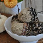 acorn-craft2
