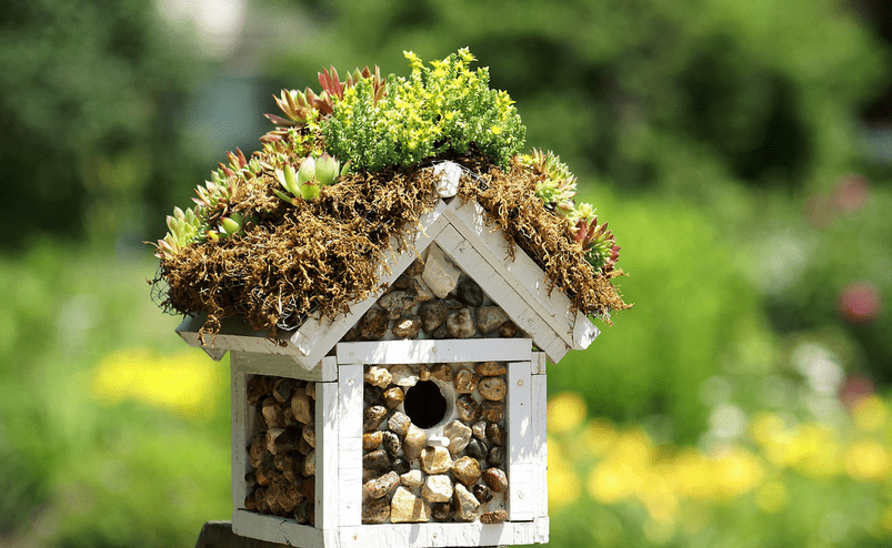 Decorate a birdhouse with stones and plants.
