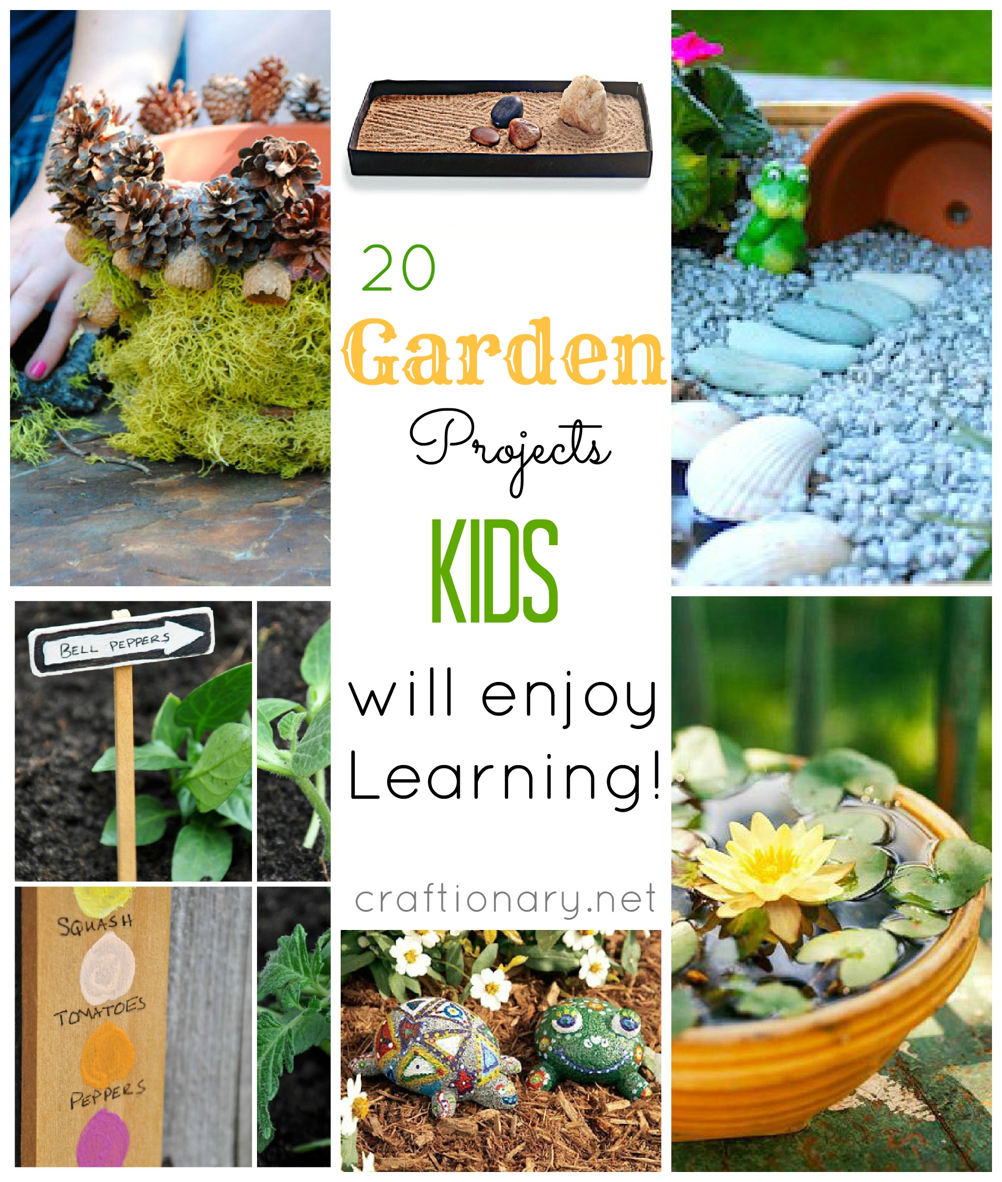 gardening with kids activities projects and ideas 