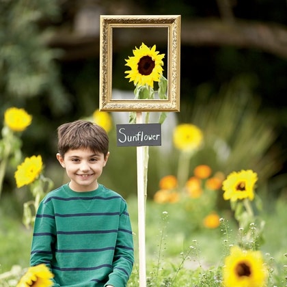 cute picture frame in garden