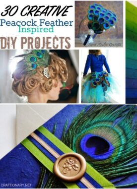 30 Creative Peacock Feather DIY Project Ideas and Crafts