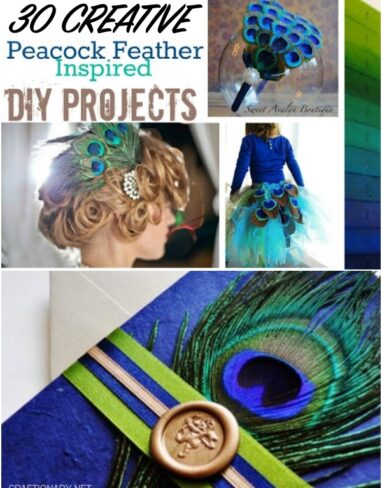 30 Creative Peacock Feather DIY Project Ideas and Crafts