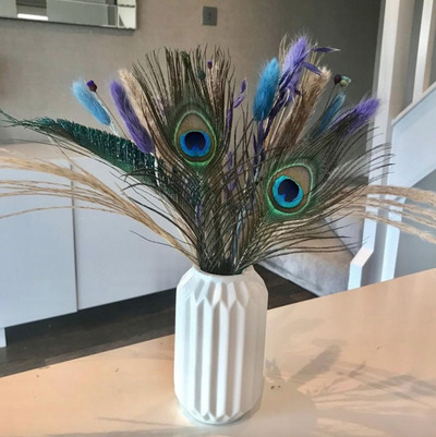 peacock-feather-vase-fillers
