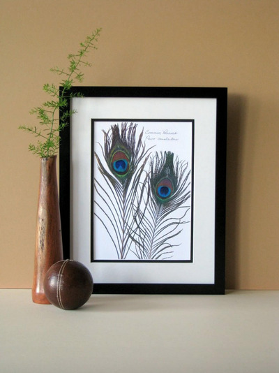 peacock-feather-wall-art