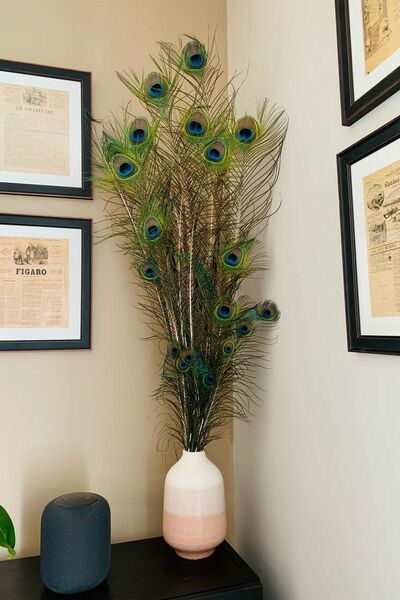 peacock-feathers-vase-fillers-diy