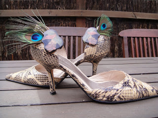 peacock shoes