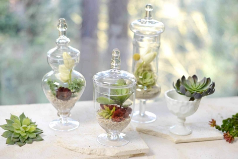 16 Ways to Style Apothecary Jars - Kelley Nan