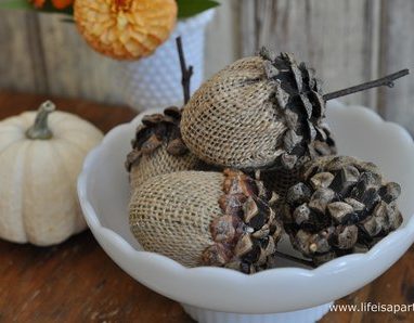Pinecone Acorn Craft