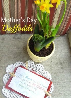 Easy flower pot gift idea and Free Printable