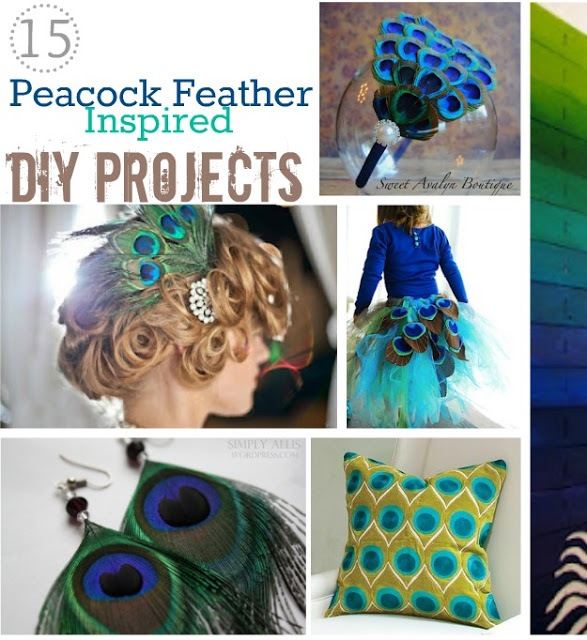 40 Unique Peacock Feather Wall Decor Ideas