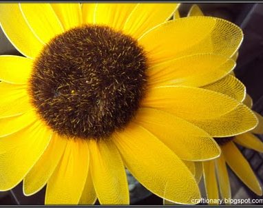 Nylon sunflowers make with stocking net