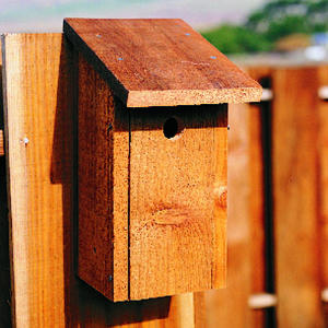 birdhouse wood