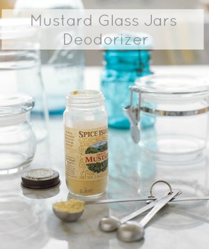 kitchen cleaning tips deodorizer