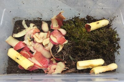 make-composting-bin-gardening-with-kids