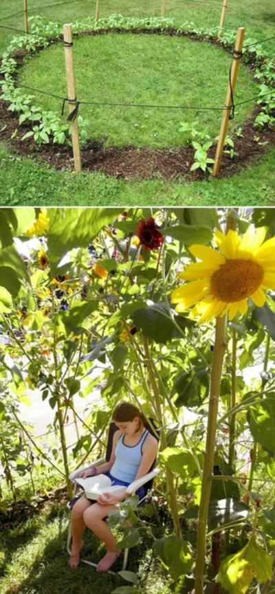 sunflower-house-gardening-with-kids