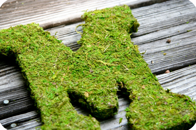 moss covered letters