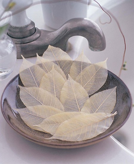 single-use-leaf-skeleton-soaps