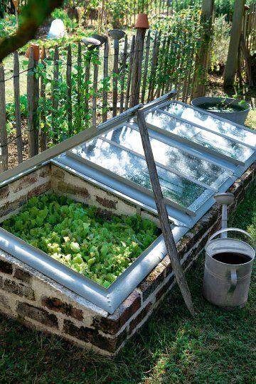 DIY-mini-greenhouse-tutorial