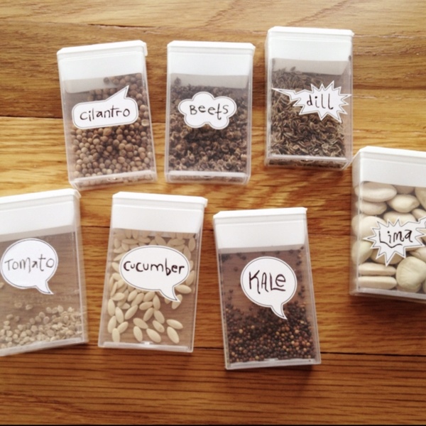 DIY-seed-containers
