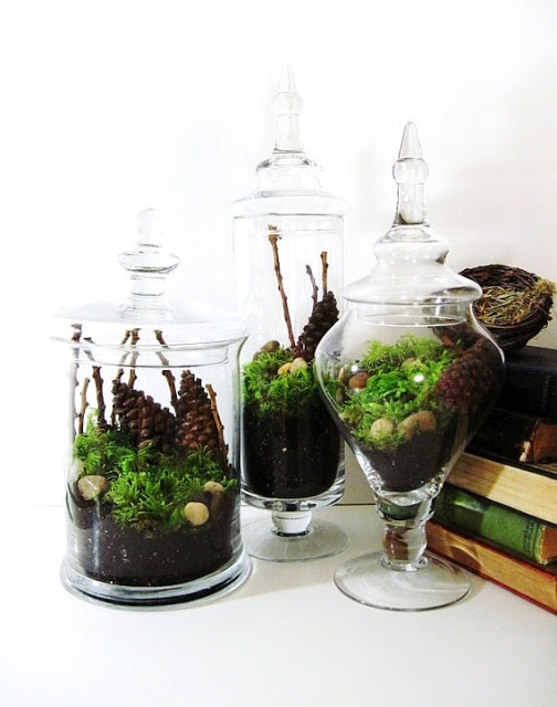 terrarium gift idea