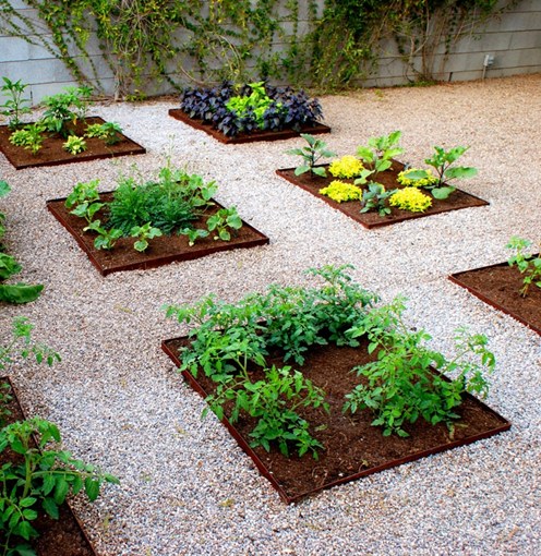 DIY-urban-vegetable-garden