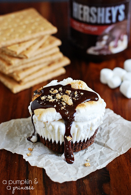 smores ice cream cupcakes recipe