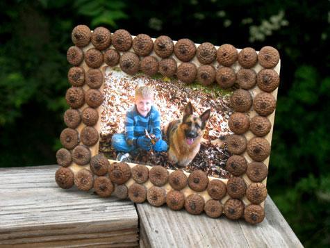acorn picture frame