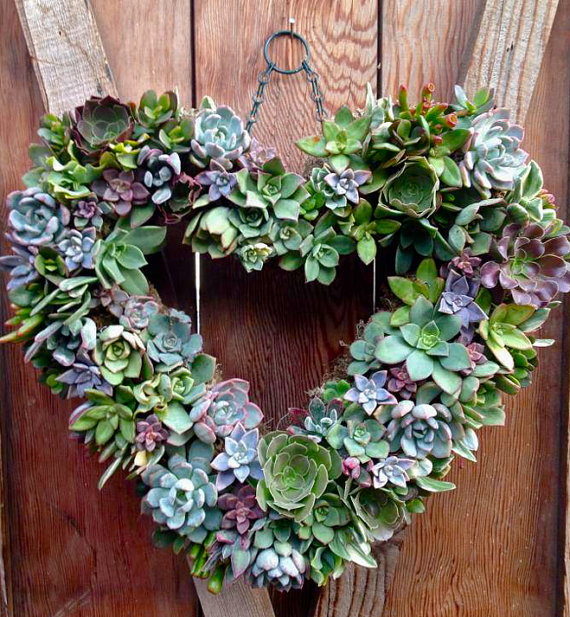 heart succulent wreath