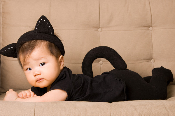 baby cat halloween costume