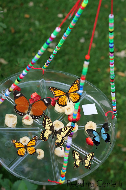 kid-made-butterfly-feeder