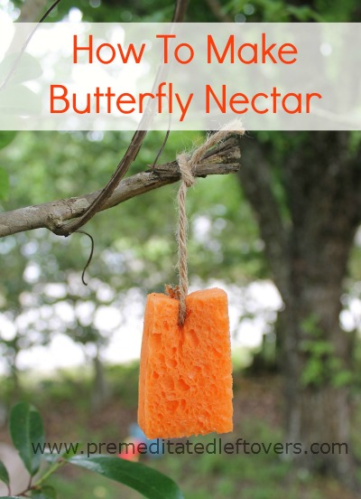 how-to-make-butterfly-nectar