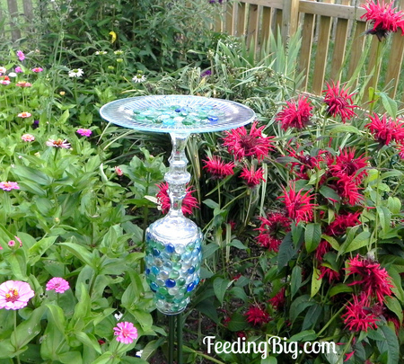 fancy-butterfly-feeder-tutorial