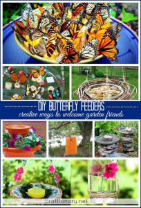 homemade butterfly feeder