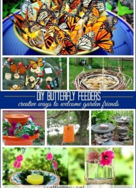 Make DIY butterfly feeder for garden (12 easy projects)