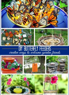 Make butterfly feeder for garden (12 easy projects)
