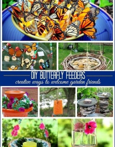 Guide: How to Make Butterfly Feeder for Garden (12 Easy Projects)
