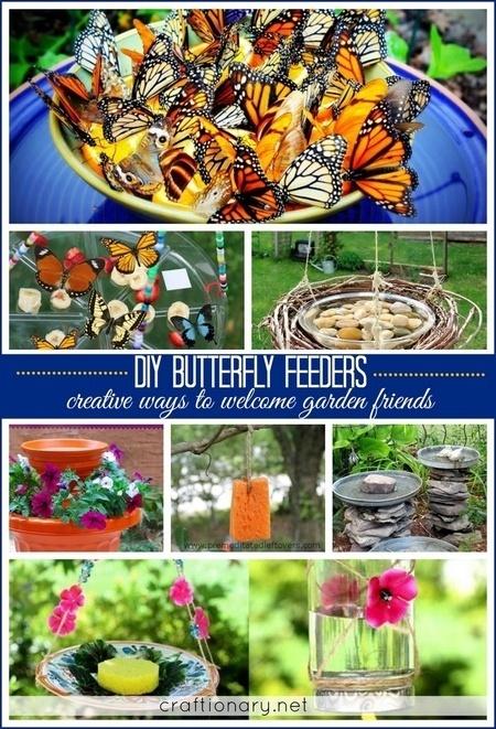 homemade-make-butterfly-feeder