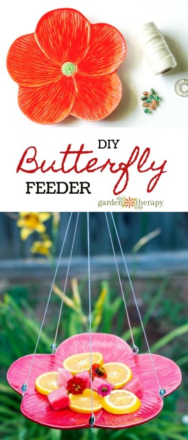 how-to-make-Butterfly-Feeder