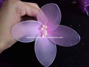 4-petal-stocking-flower