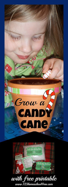 grow-a-candy-cane