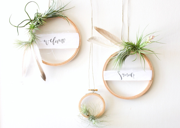 Air Plant Wreath