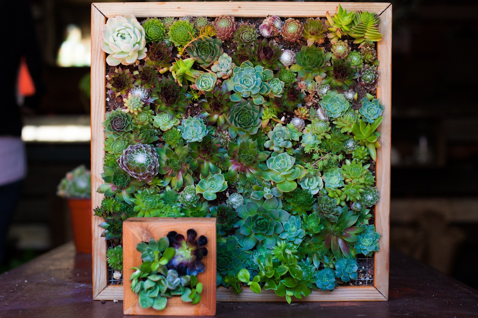 DIY Vertical Garden