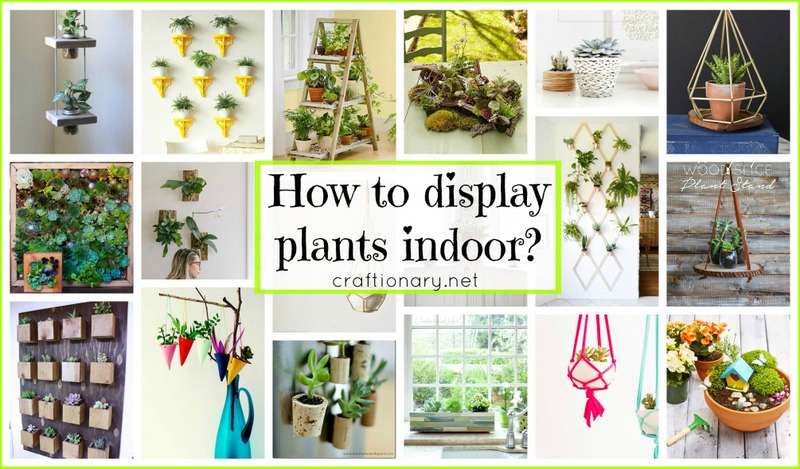 DIY plant display for home at craftionary.net