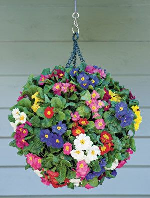 Hanging Flower Ball