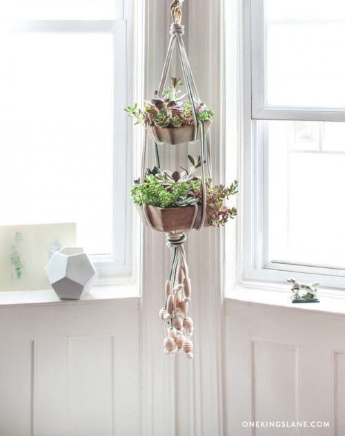 Hanging Succulent Planter