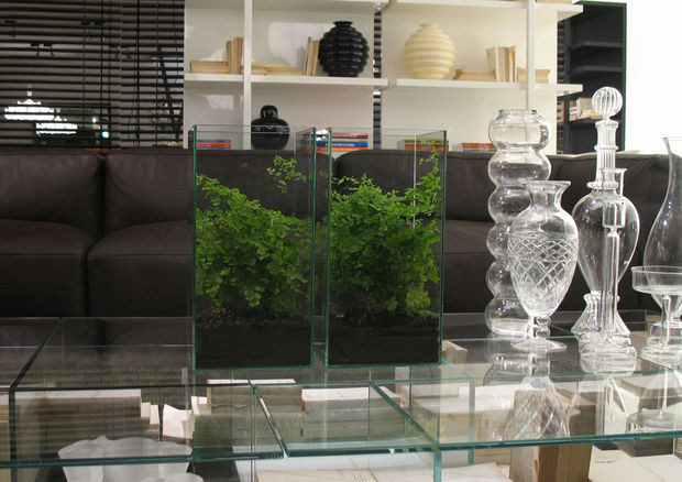 Indoor Glass Case Planter