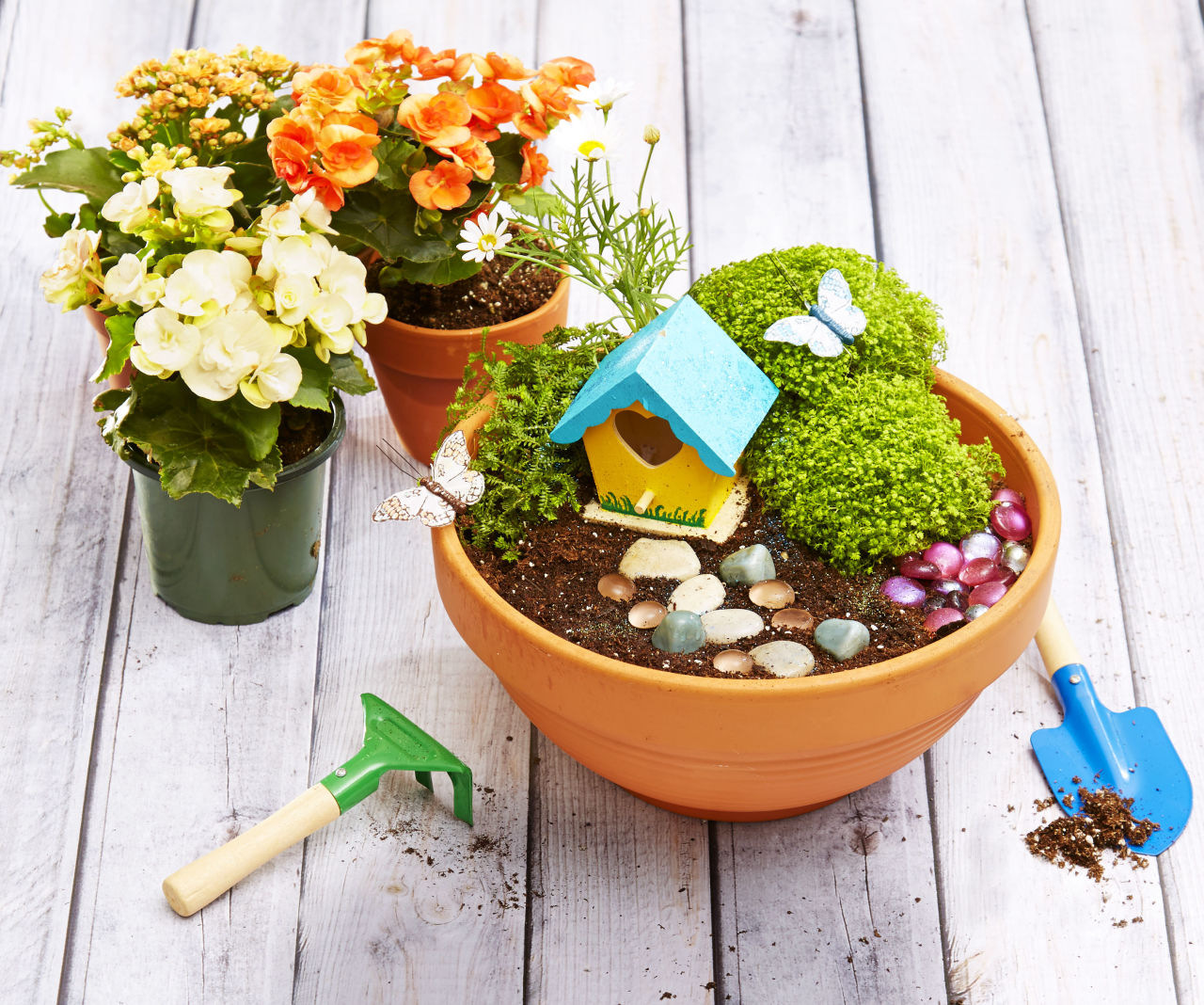 Mini Magic Garden