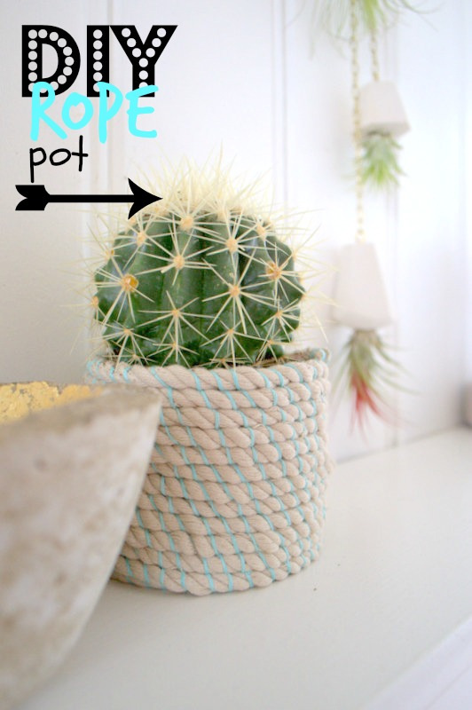 Rope Pot Plant Display