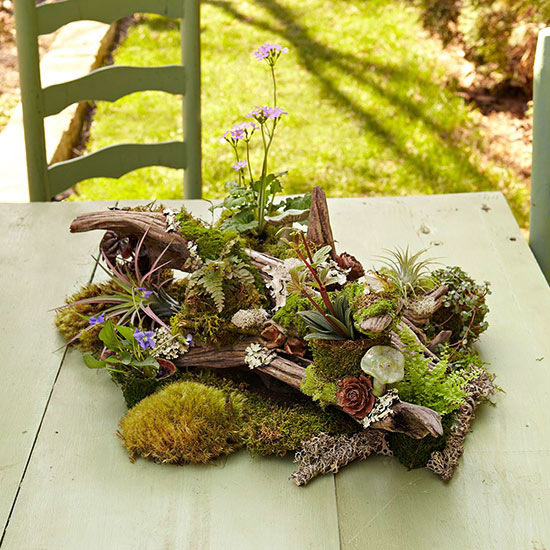 Table Top Woodland Garden