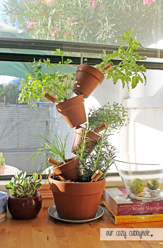 Vertical Herb Plant Display
